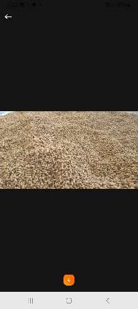 Girardi 4 madvi biyarnh devanu