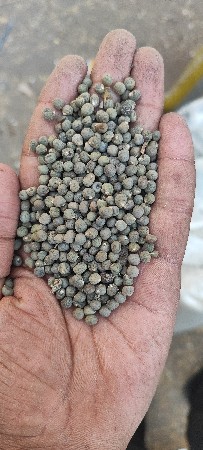 ભીંડા નું બી