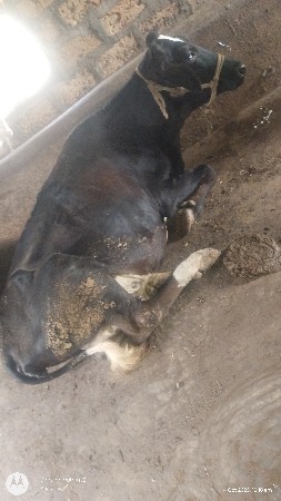 थंबनेल 1