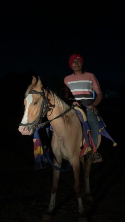 વેચવાની છે