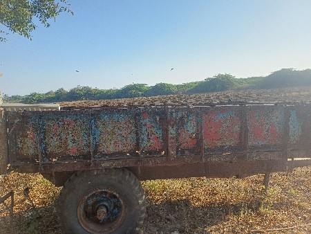 थंबनेल 2