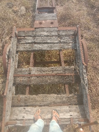 થંબનેલ 2