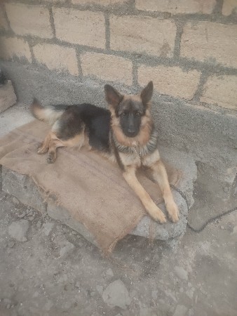 थंबनेल 3