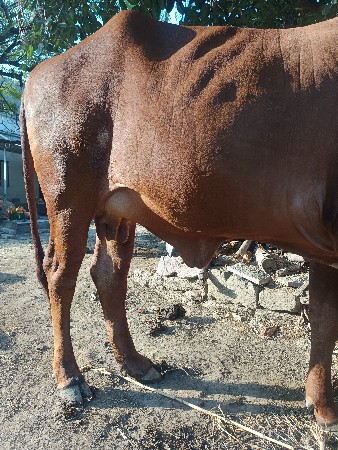 थंबनेल 3