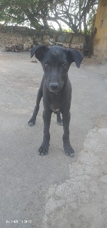 थंबनेल 2