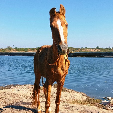 थंबनेल 2