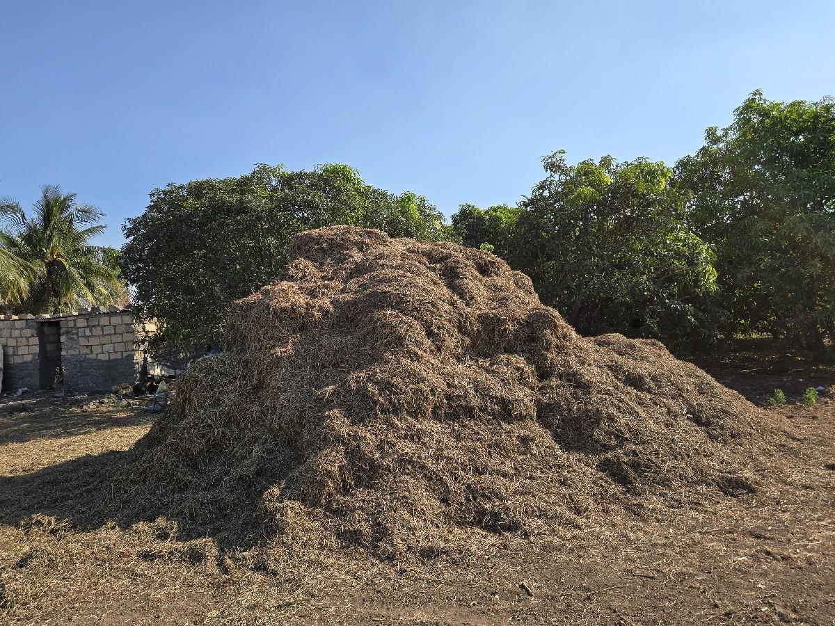 મગફળી નો ભુકો વેંચવાનો છે.