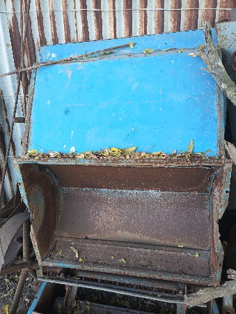 માંડવી ફોલ વેસ વાનો છે