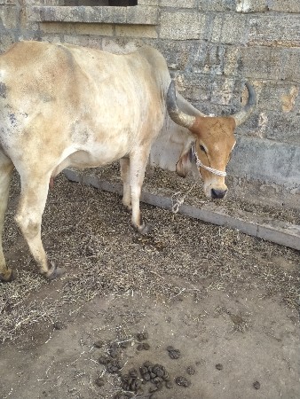 थंबनेल 2