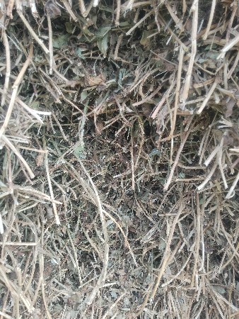 મગફળીના કોરો ભૂકો વેચવાનો છે