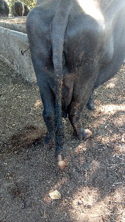 थंबनेल 1