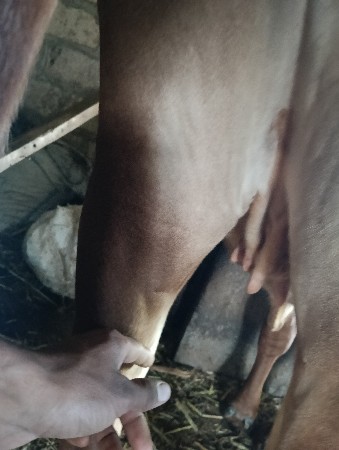 થંબનેલ 3