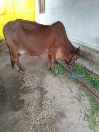 थंबनेल 2