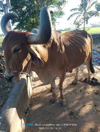 थंबनेल 2