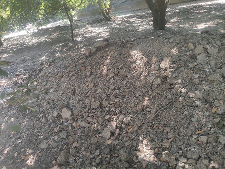 મરધા નું ખાતર વેચવા નું છે