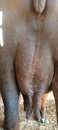 થંબનેલ 1