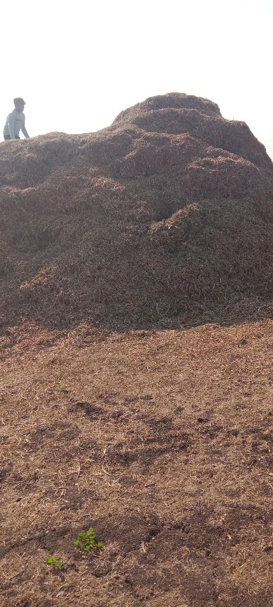 માંડવી નો ભુકો વેસવા નો છે