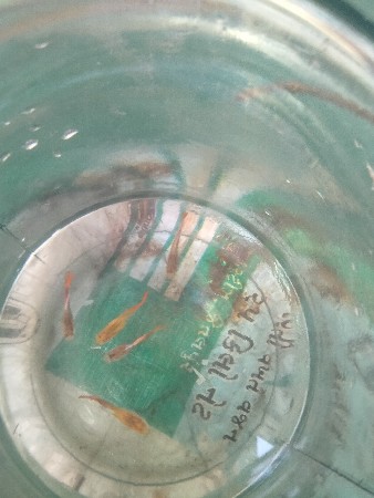 થંબનેલ 2