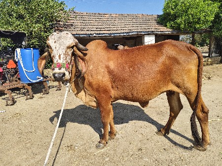 थंबनेल 2