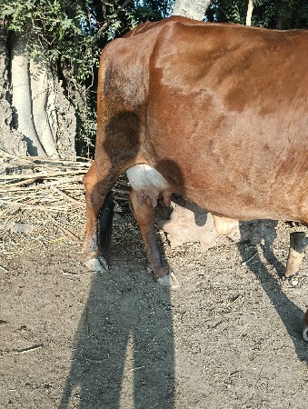 थंबनेल 3