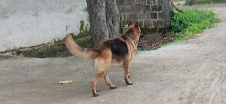 થંબનેલ 3