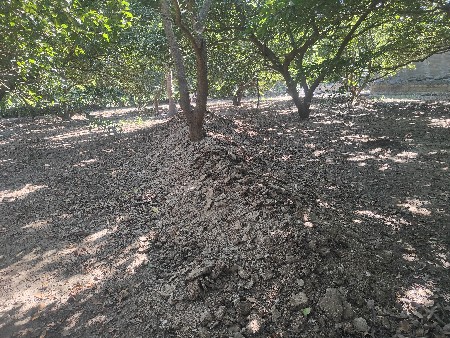 थंबनेल 3