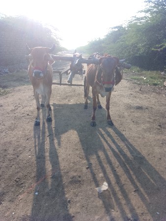 थंबनेल 2