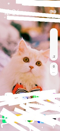 મીંઢોળ ડોગ