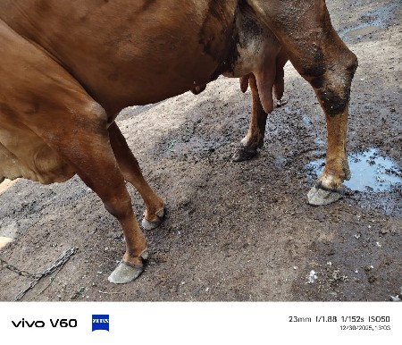 थंबनेल 2