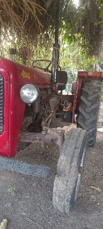 massey 1035