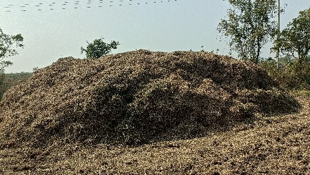 માંડવી નો ભૂકો વેચવાનો છે