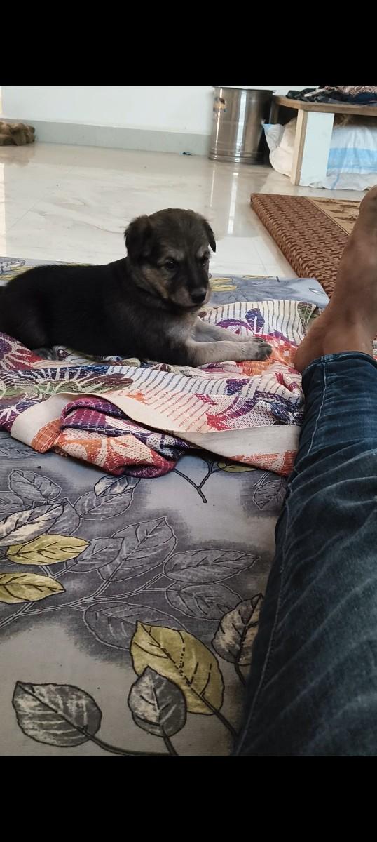 થંબનેલ 3