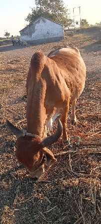 थंबनेल 2