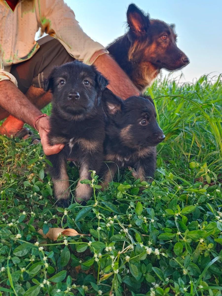 થંબનેલ 3