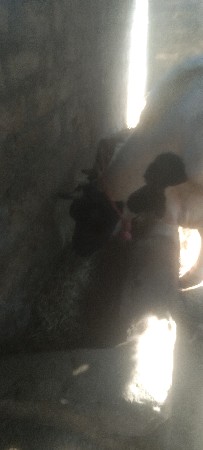 થંબનેલ 1