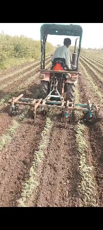 9974460316 અંબરાડી તાલુકો જસદાણ