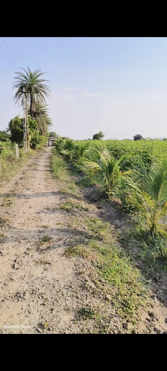 થંબનેલ 5