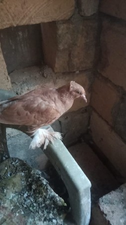 थंबनेल 3