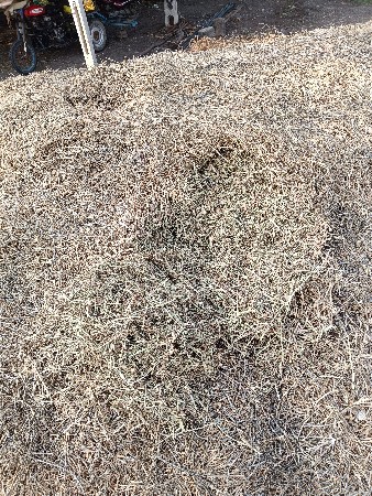 ભૂકો વેચવાનો છે