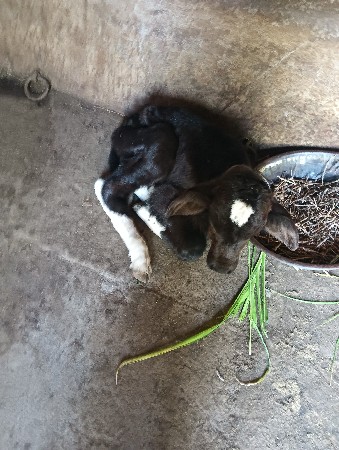 थंबनेल 3