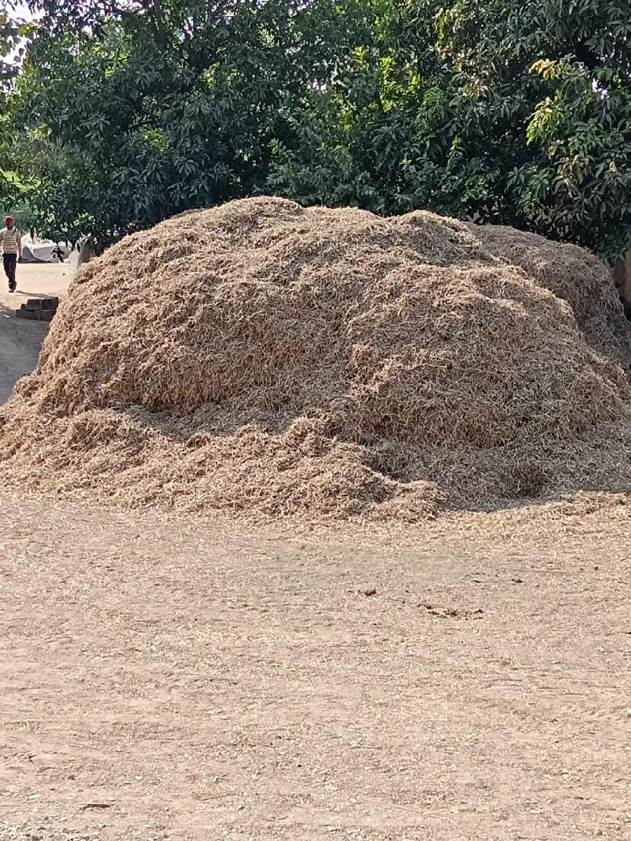 12 વીધા નૂ મગોટૂ વેચવા નૂ છે.