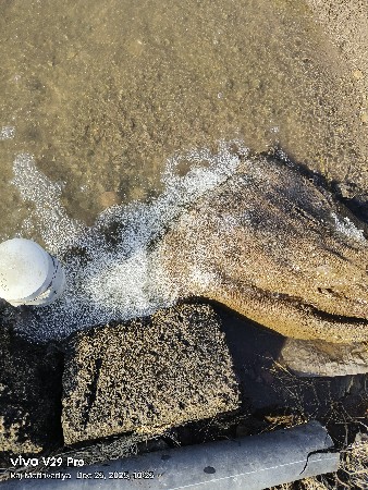 સિંગલ ફેસ મોટર2