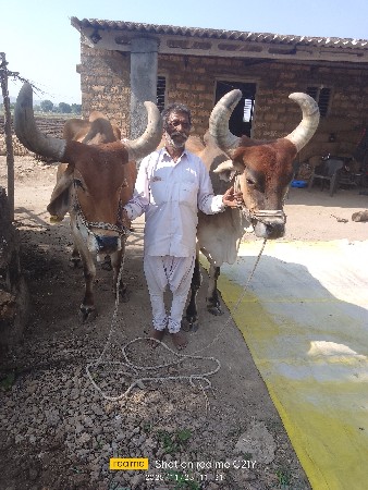 થંબનેલ 3