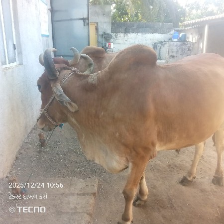 थंबनेल 2