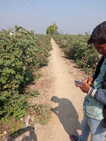 દામોદર ભાઈ કણસાગરા 84015 22889