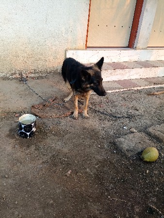 थंबनेल 3