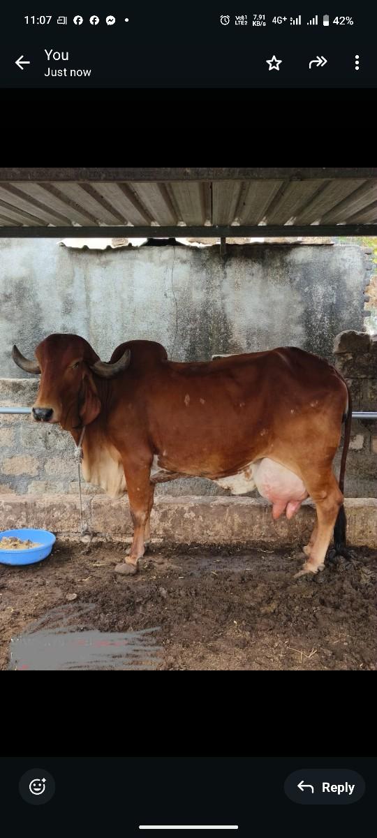 थंबनेल 1