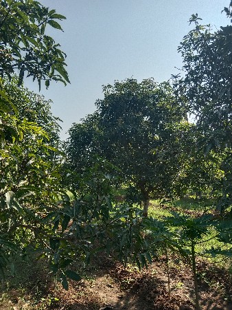 થંબનેલ 3