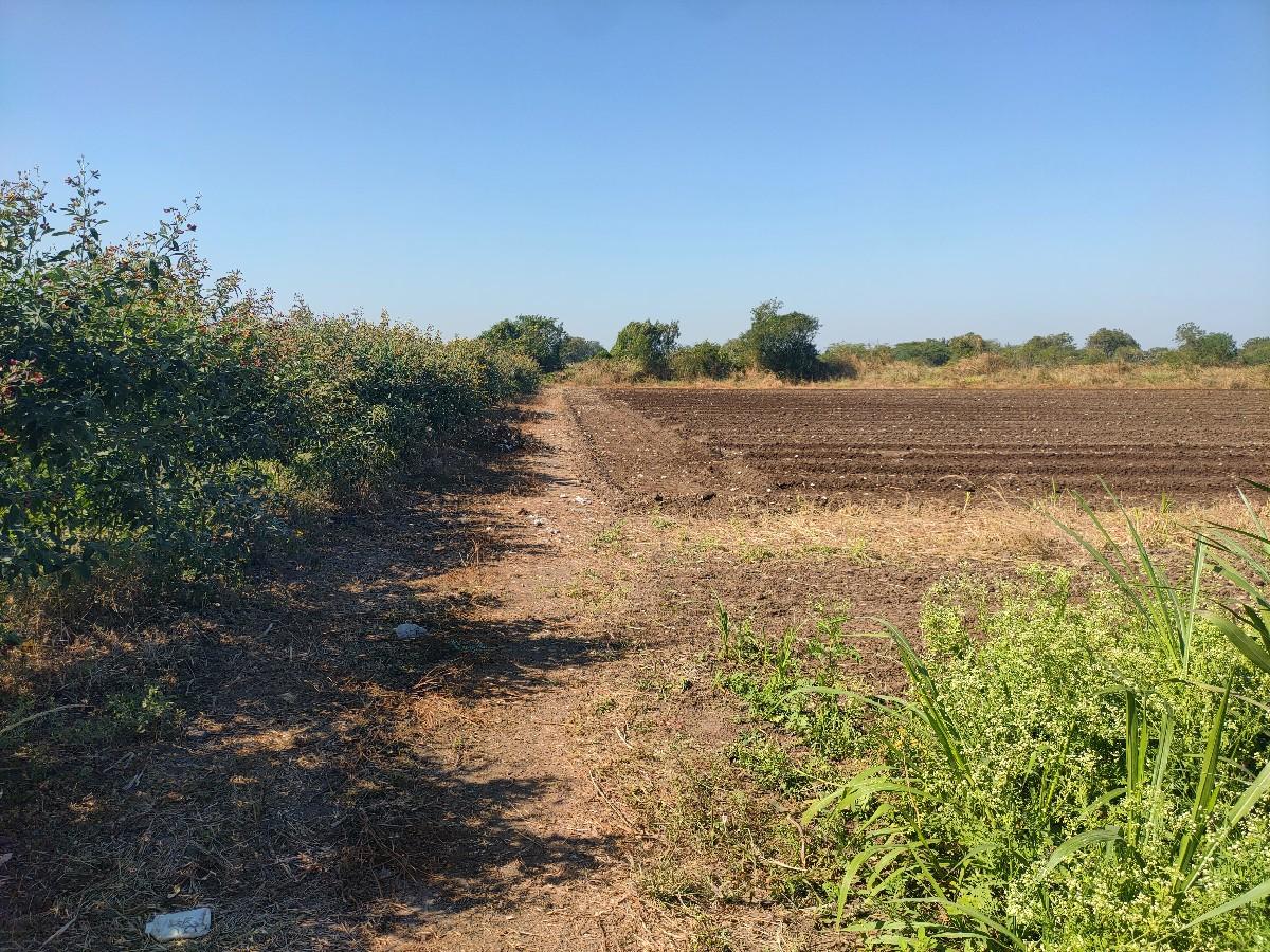 થંબનેલ 3