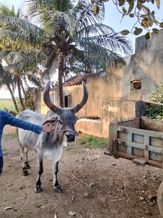 थंबनेल 2